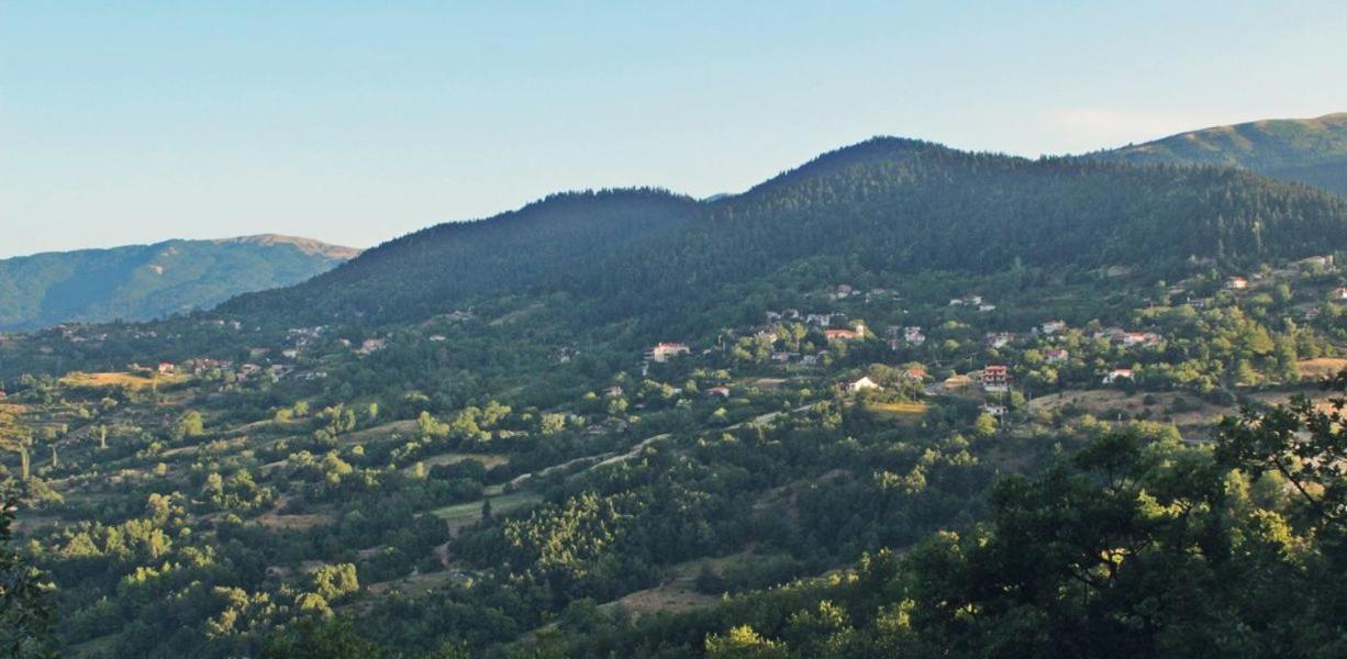 Omilaia Hotel Gardiki Esterno foto